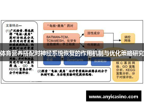 体育营养搭配对神经系统恢复的作用机制与优化策略研究
